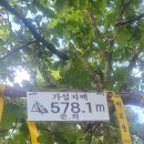 음성궁도장 티스토리