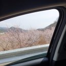 진보면 노래교실 이미지