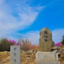 제 433회 정기 산행 경남 창원 천주산 (638m) 진달래꽃산행(2024.4.6) 이미지