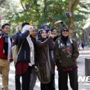 주식회사 남이섬 이미지