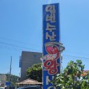 현대수산동물병원 | [새우 맛집] 고성 일번 수산 왕새우 내돈내산 솔직후기