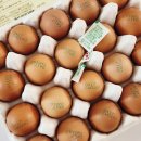 대한맥반석 이미지