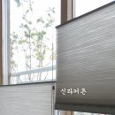 더펠리즈 이미지