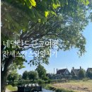 네덜란드 암스테르담 근교 풍차마을 잔세스칸스 당일치기 여행 코스 (feat. 시내 풍차)