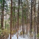 2024년 11월 28일 117년만에 폭설이 내린 진안 운장산(1126m) 겨울 산행(궁항리 - 서봉 - 운장대 3.7km...