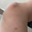 당진버스터미널 맡은편 상가도로 | 9월 후쿠오카 여행 4일차 마지막편 새벽 6시 웨이팅없는 광기의 이치란라멘/후쿠오카 공항 스타벅스...
