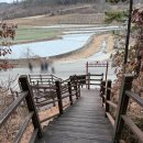 충의공 엄흥도 역사탐방로 | 왕과 사는 남자 엄흥도 실제 묘는 어디일까? 대구 군위 충의공 엄흥도 묘 답사