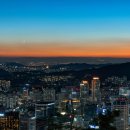 작은숲 이미지