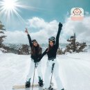 **철 - 금산군 진산면 | **철
