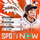 구로-구로-구로-146 이미지