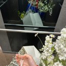 [옥정부케공방] 베이오리프 내돈내산 후기