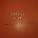 오렌지 시티 (orange city) 이미지