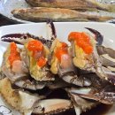 진한우포크 이미지