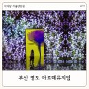 부산 실내 아이랑 가볼만한 곳 영도 아르떼뮤지엄 후기