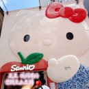 11500-17-51-01 | 도쿄 여행 아사쿠사 센소지 쇼핑 가볼 만한 곳 산리오 기념품샵