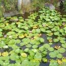 봉곡동316 이미지