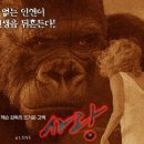 킹콩 이미지