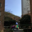 하단동113 이미지