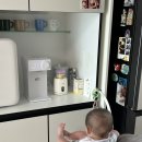 삼진택시(주) | 2차 영유아검진, 엄마 아빠는 대구 여행 (167일 ~ 173일)