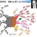 마인드맵영재학원