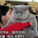 정가네짬뽕 - 성남시 중원구 금빛로 48 | 정가네짬뽕