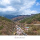 수양 이미지