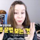 런던쌤 영상 보는데 이 뒤에 고양이 진짜 고양이일까 이미지