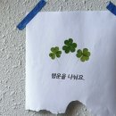 행운나눔 네이버블로그