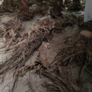 봉산문화회관 1전시실 이미지