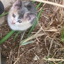 포항 보쉬카 서비스 카엔지니어 이미지