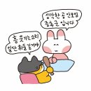 야야 이미지