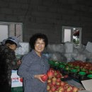 초롱목장 이미지