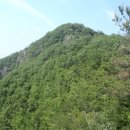 진원면사무소 이미지