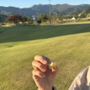 심재한의원 이미지