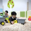 서리풀노리학교 이미지