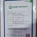 GAP 인증 딱딱이 복숭아 성백도 마지막 할인 판매합니다 이미지