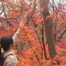 전북특별자치도 산림박물관 이미지