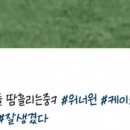 케이스포 이미지