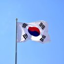 뿌리깊은 나무 | 드라마 뿌리깊은나무 정주행 후기