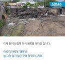 똘이농장 이미지