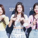 수아 Daum카페