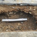 활천초등학교 이미지