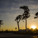 소나무여울공원 이미지