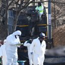 화성양돈 이미지