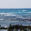 삼양검은모래해변 이미지