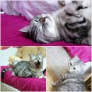 난곡동-4 이미지