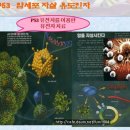 생명예찬1 이미지