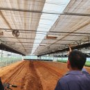 도강농장 이미지