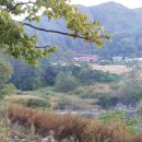 의풍분교온달캠핑장 이미지