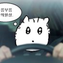 수원-1300 이미지